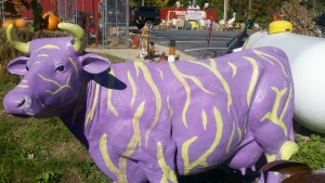 purple-cow